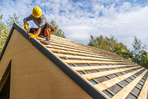 Best Roof Gutter Cleaning  in Deshler, OH
